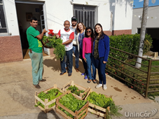 bolsa verde capa