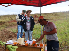 dia de campo agronomia