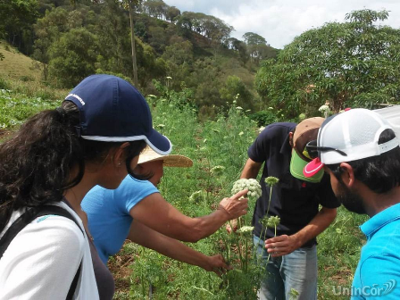 visita tecnica agronomia capa