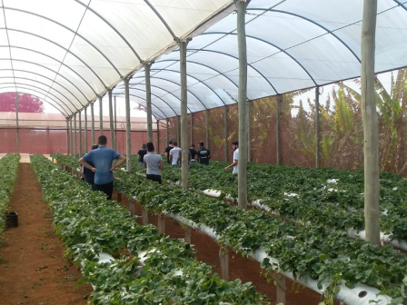 agronomia visita tecnica capa