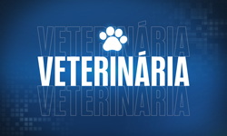 banner veterinaria